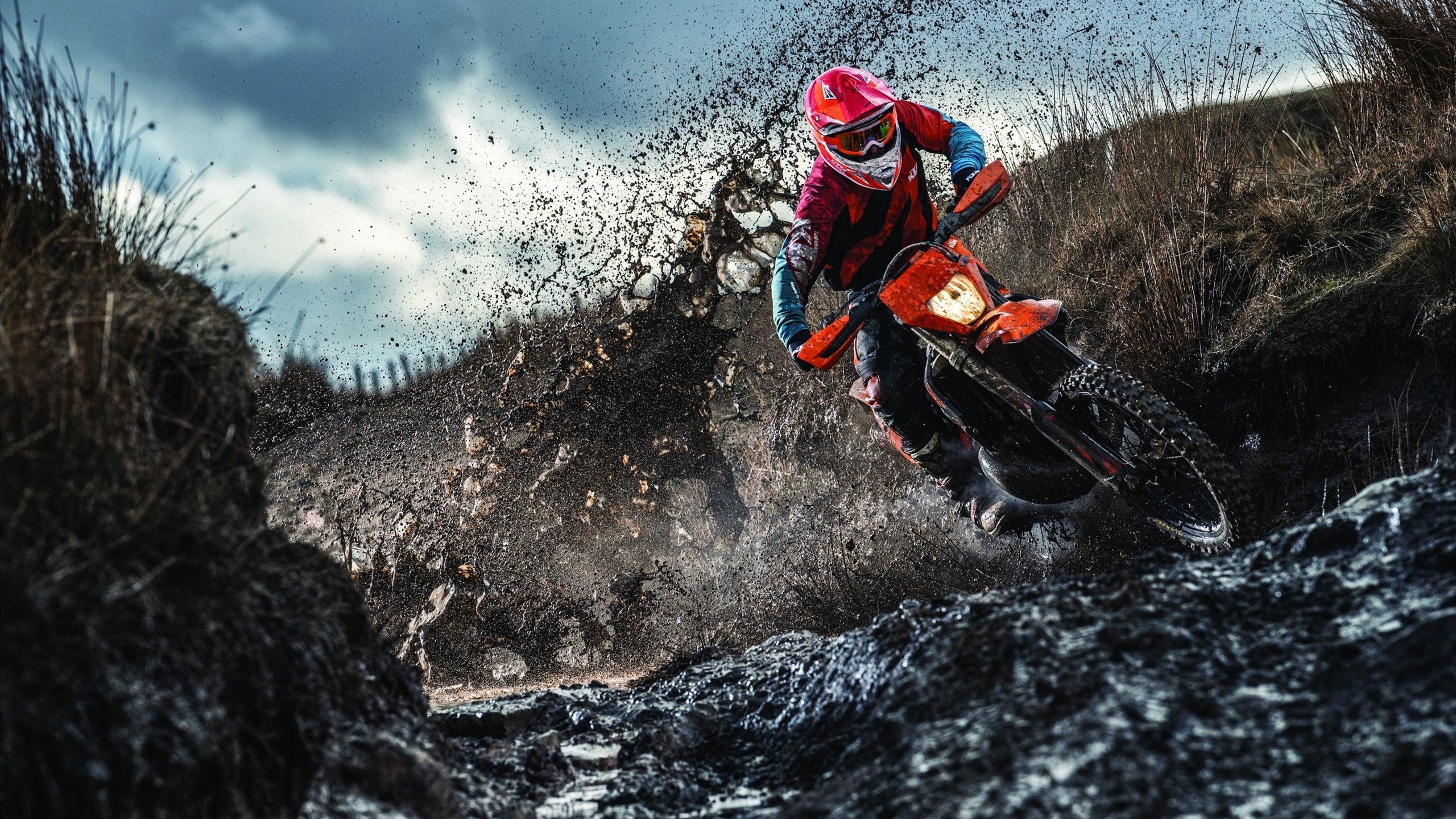 塞内加尔马术协会出版“Lamb”历史专著,记录赛事发展历程。