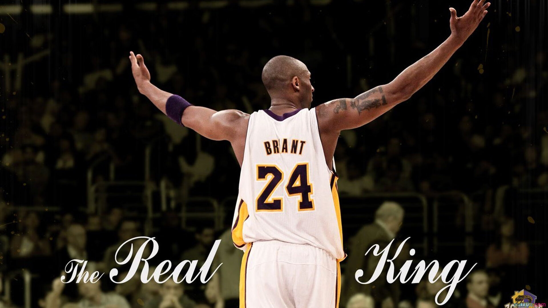 九游体育下载-体育频道推出中国篮球故事专题讲述幕后奋斗与坚持，篮球体育节目