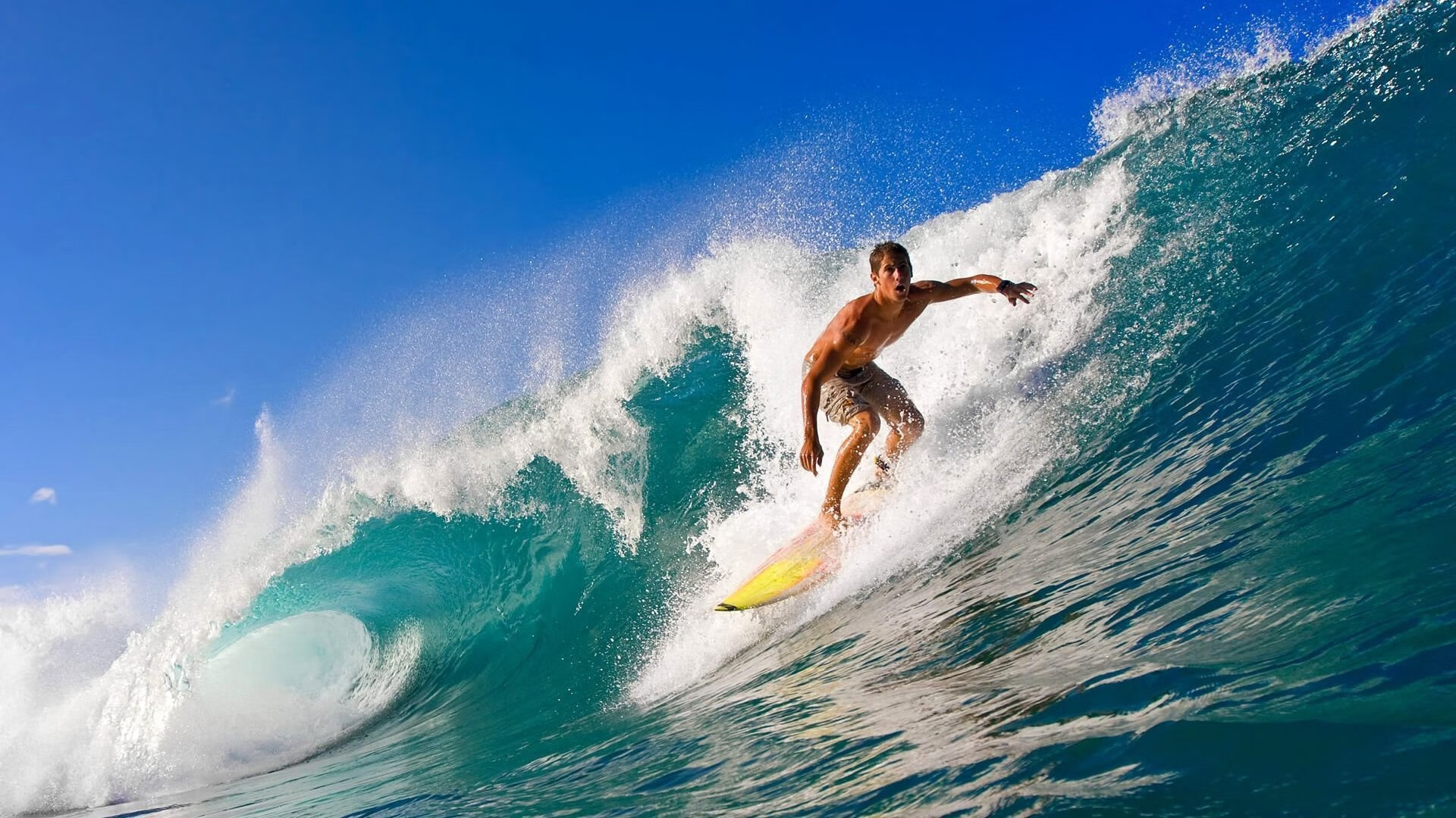 未来方向：电动WRC赛道的理念与前景，wrc赛车介绍